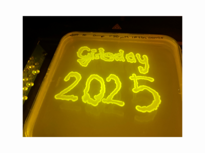 April 3, 2025: HMGU Girl’s Day